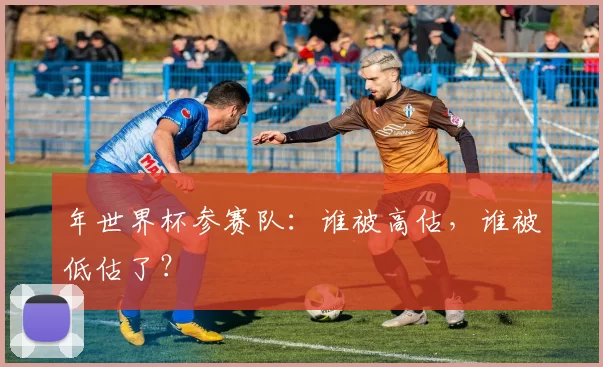 年世界杯参赛队:谁被高估,谁被低估了?