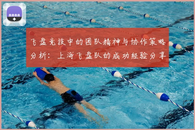 飞盘竞技中的团队精神与协作策略分析:上海飞盘队的成功经验分享