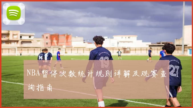 NBA暂停次数统计规则详解及观赛查询指南