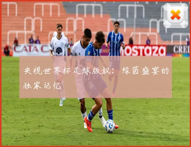 央视世界杯足球版权:绿茵盛宴的独家记忆