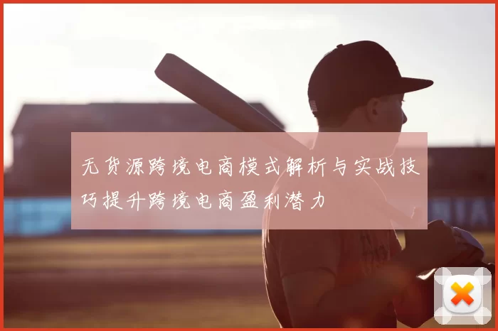 无货源跨境电商模式解析与实战技巧提升跨境电商盈利潜力