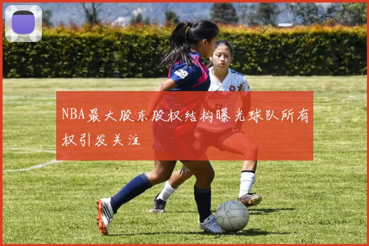 NBA最大股东股权结构曝光球队所有权引发关注