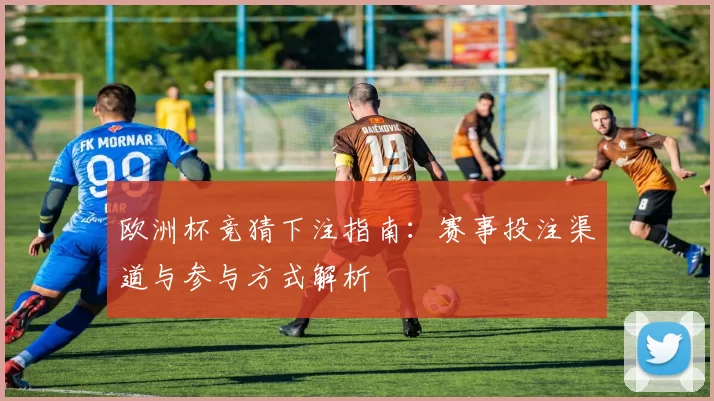 欧洲杯竞猜下注指南:赛事投注渠道与参与方式解析