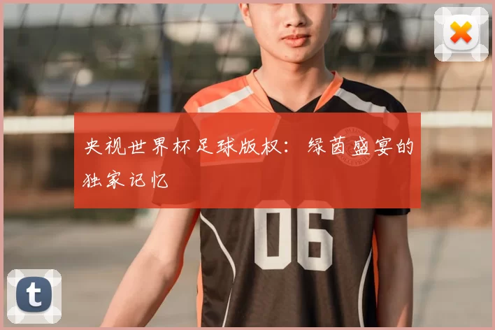 央视世界杯足球版权:绿茵盛宴的独家记忆