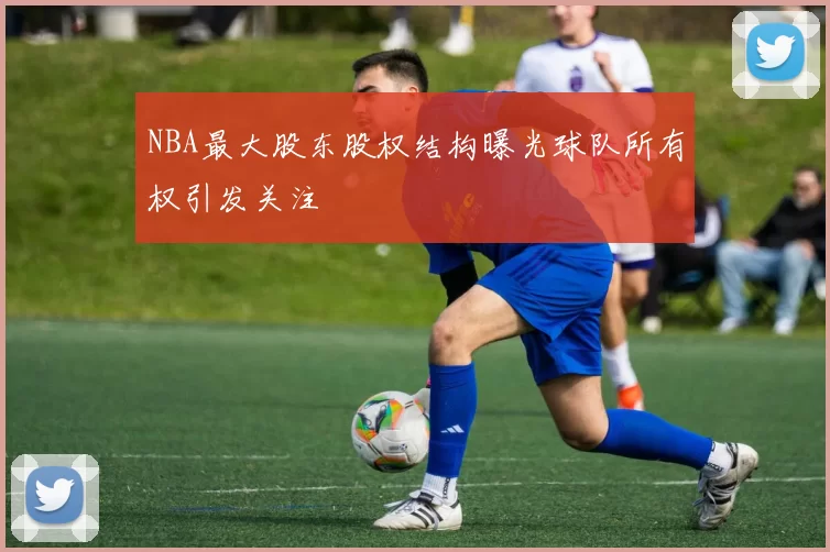 NBA最大股东股权结构曝光球队所有权引发关注