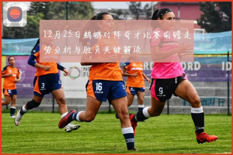 12月25日鹈鹕对阵奇才比赛前瞻走势分析与胜负关键解读