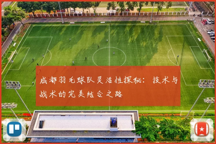 成都羽毛球队灵活性探秘：技术与战术的完美结合之路