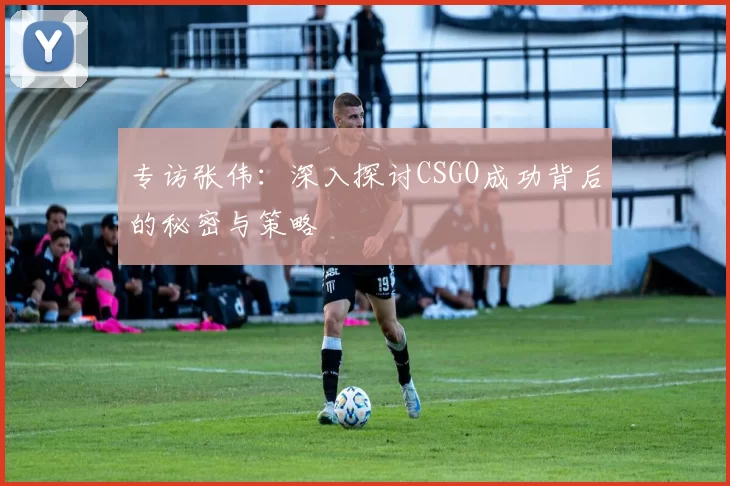 专访张伟：深入探讨CSGO成功背后的秘密与策略